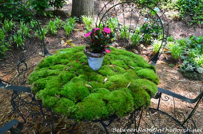 A Garden &amp; Moss Table Setting Tablescape