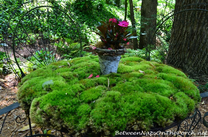 Whimsical Moss Table