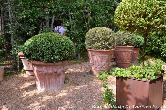 Boxwood Planter In Ryan Gainey's Garden