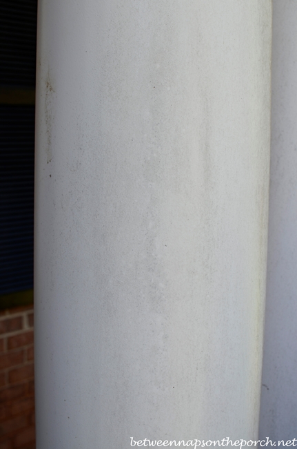 Mildew on Columns_wm