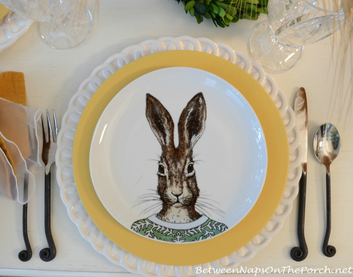 Rabbit Dapper Animals Salad Plate_wm