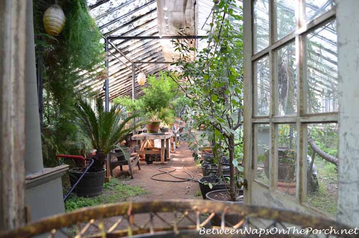 Ryan Gainey's Greenhouse