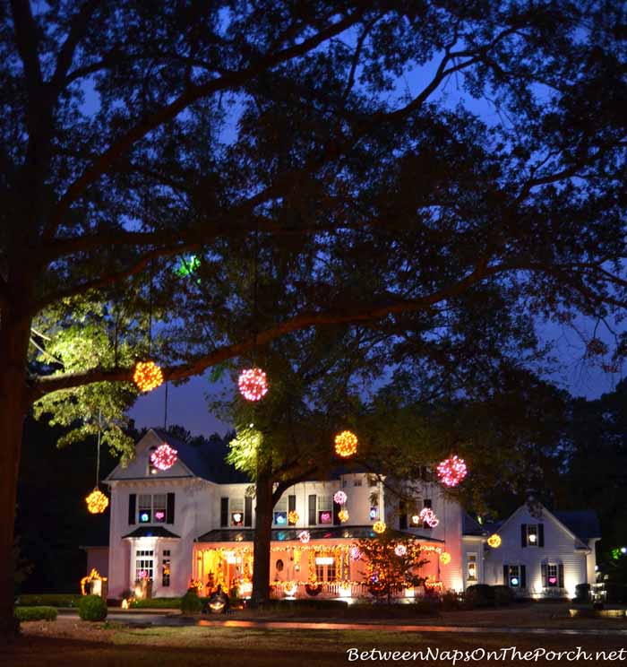 Halloween Decorations for Porch and Trees 04