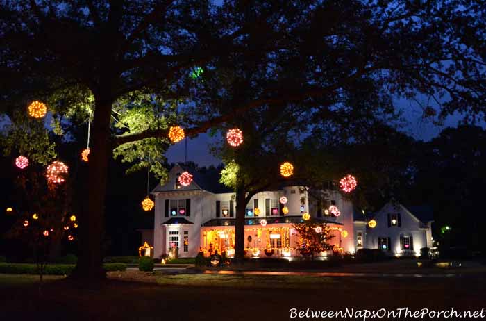 Halloween Decorations for Porch and Trees 05