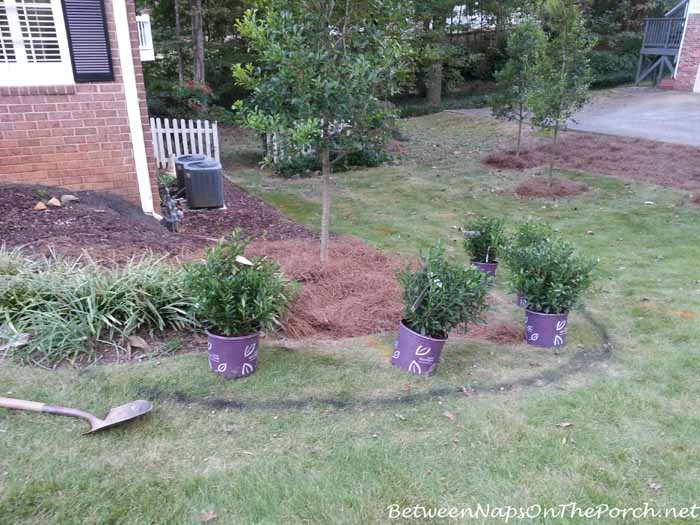 Landscaping A Front Yard 