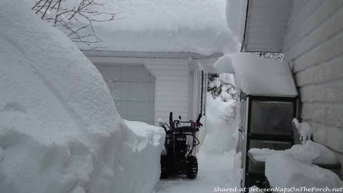 5 Feet of Snow in Kitimat British Columbia Canada 1