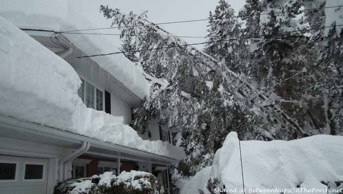 5 Feet of Snow in Kitimat British Columbia Canada 2