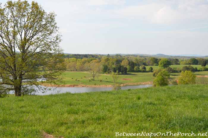 picturesque farm