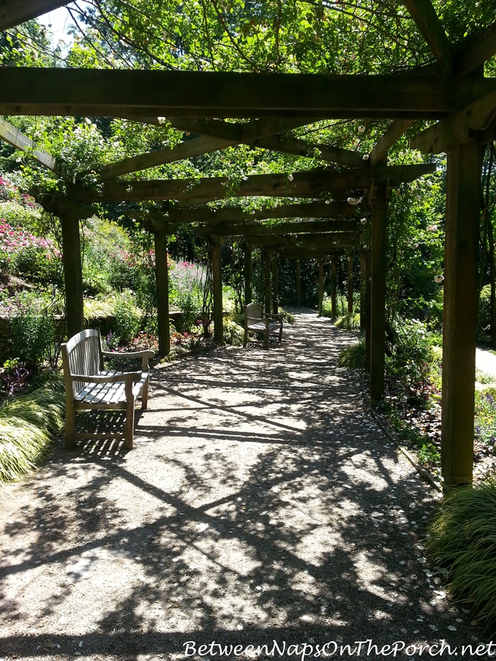 Strolling under the Rose Arbor in Gibbs Gardens