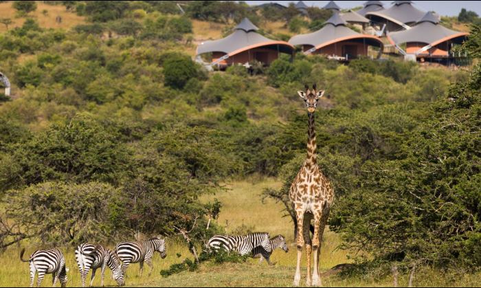 Mahali Mzuri in Africa 08