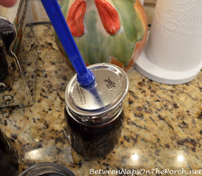 Make Blueberry Jam Without Pectin 13