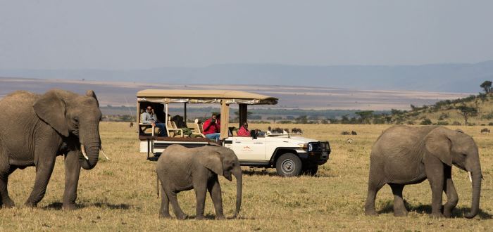 On Safari at Mahali Mzuri in Africa