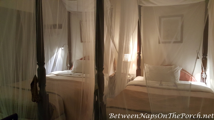 Beds Draped with Mosquito Netting