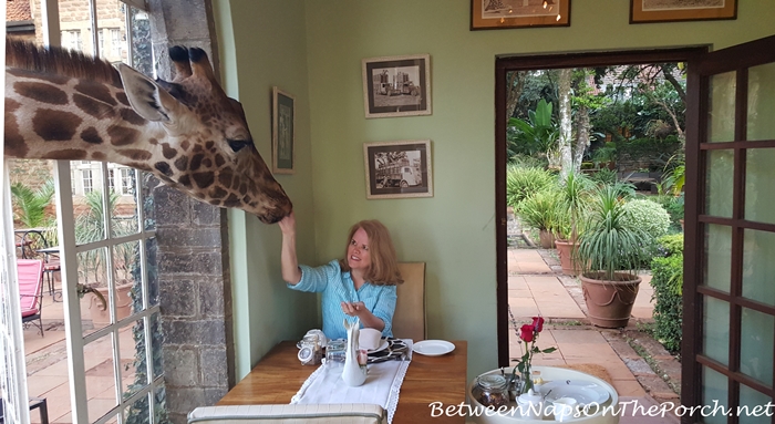 Breakfast with Daisy at Giraffe Manor, Kenya