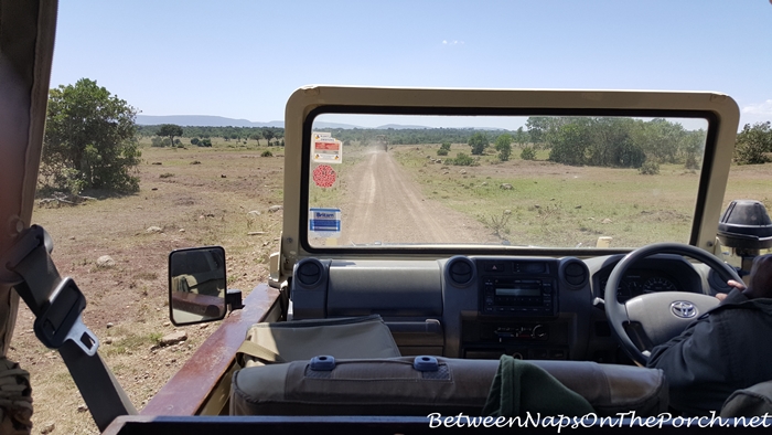 Ride from Airport to Mahali Mzuri Safari Camp