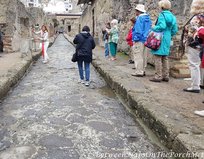 Herculaneum Ruins, Murals and Architecture 10