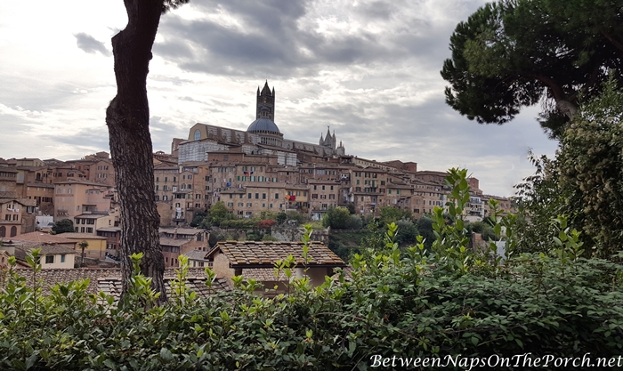 view of Siena