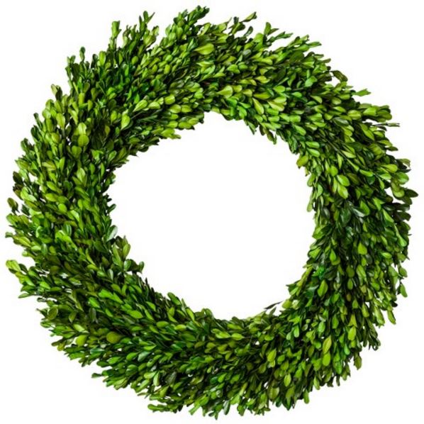 21 Inch Preserved Boxwood Wreath