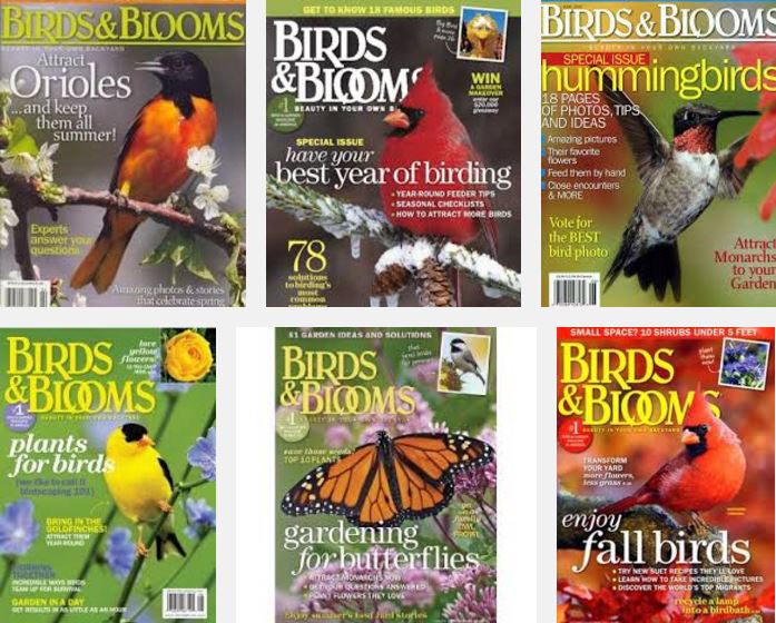 Birds and Blooms Magazine