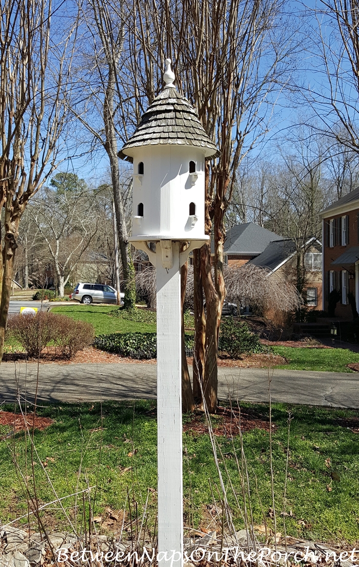 Lazy Hill Dovecote in Garden