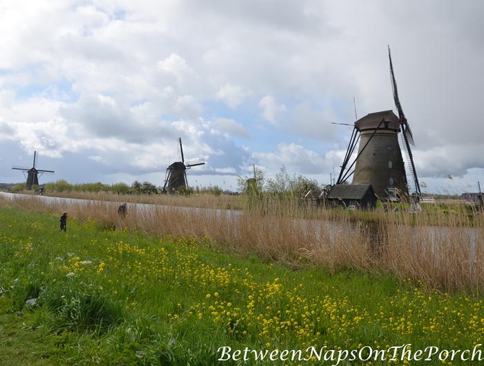 Windmills, Kinderdijk, Holland