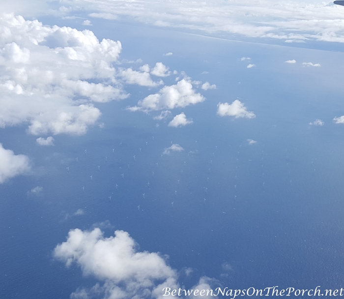 Windmills in Ocean, Amsterdam