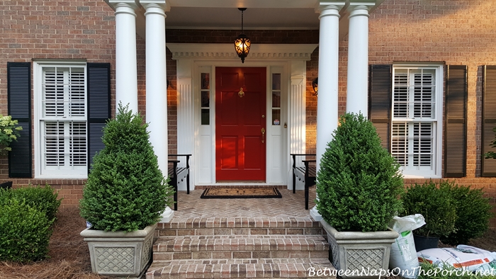 Green Mountain Boxwood Topiaries