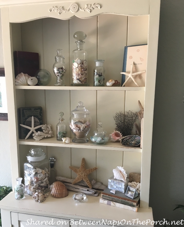 Decorating with Shells