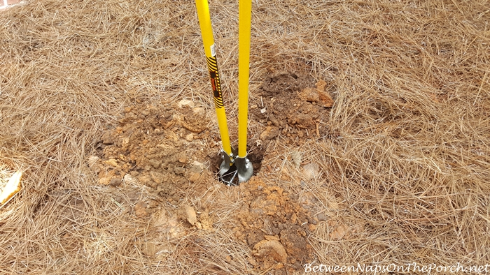 Digging hole for pole for a Lazy Hill Bird House