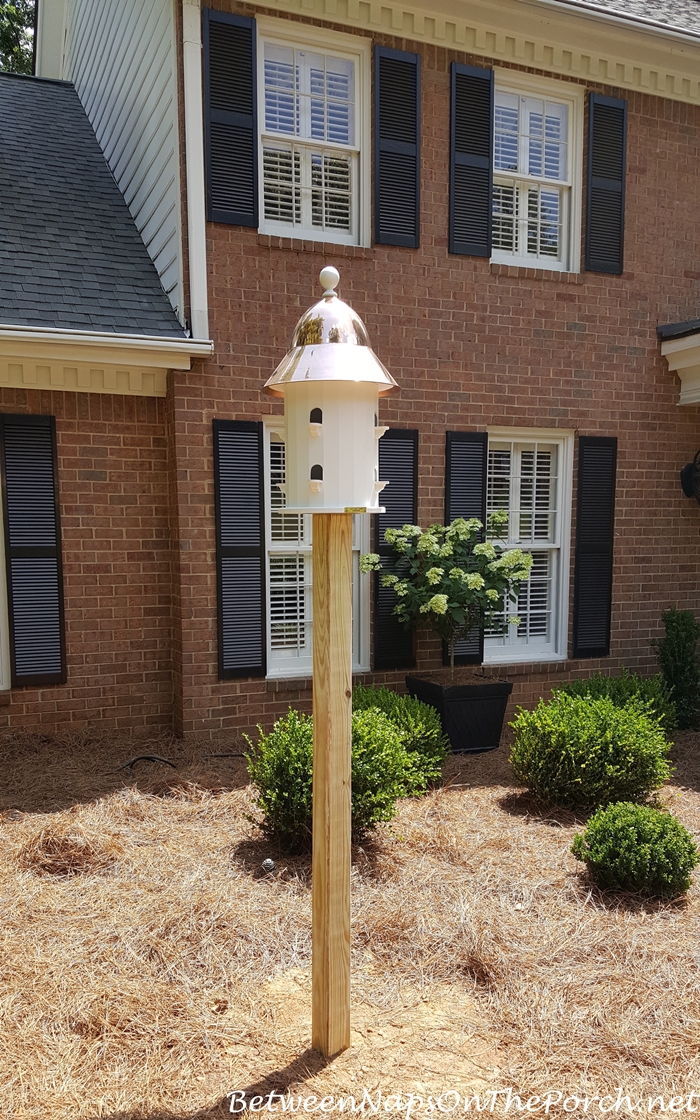 Lazy Hill Farm Dovecote Bird House with Copper Roof