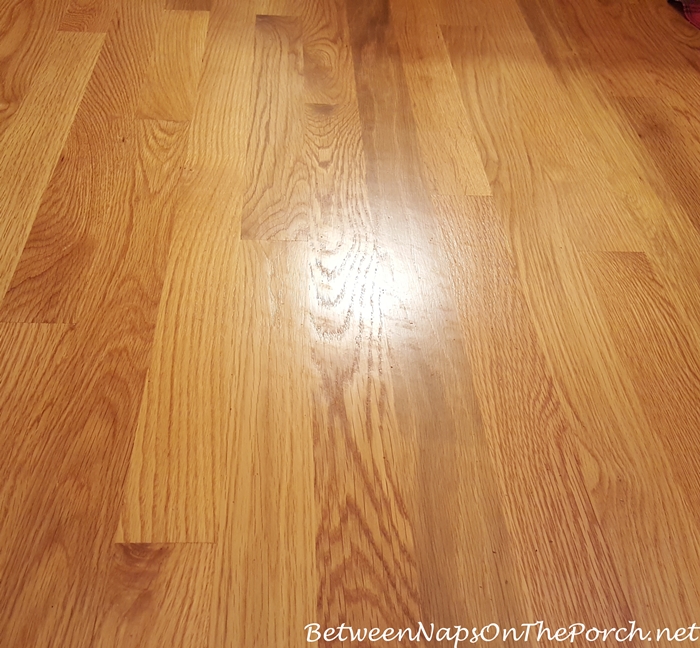 Shadows left on hardwood flooring from deteriorated latex backing on rug