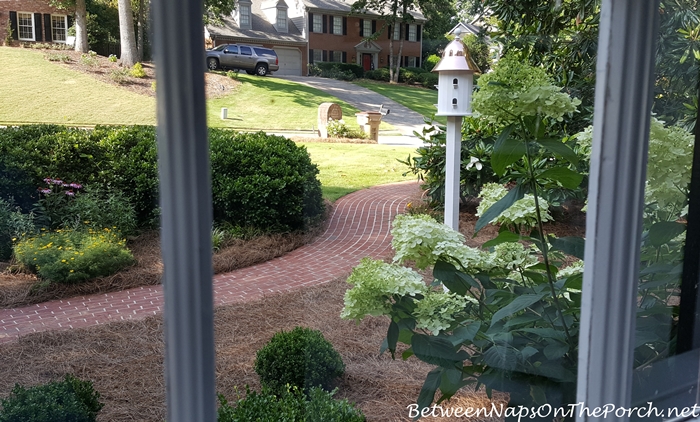 View of Garden Through Window