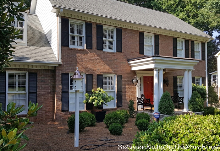 hydrangea front yard landscaping