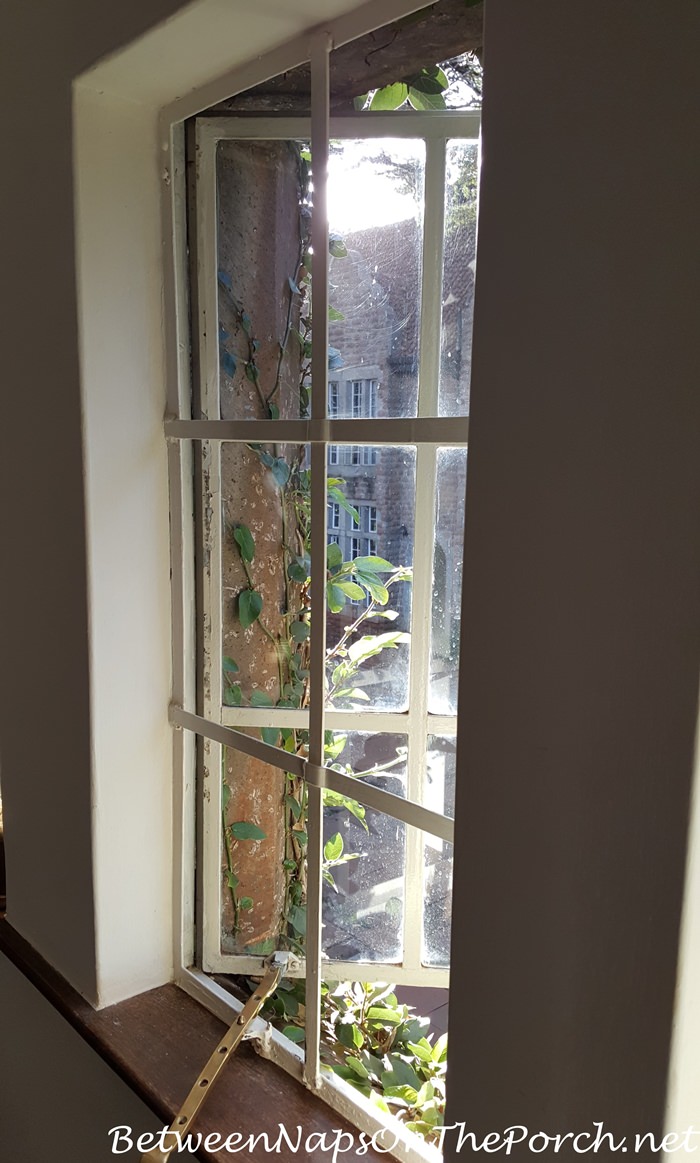 giraffe-manor-vines-growing-just-outside-window-daisy-room