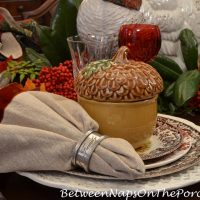 acorn-soup-tureens-for-thanksgiving