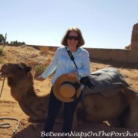 Camel Ride in the Sahara, Morocco