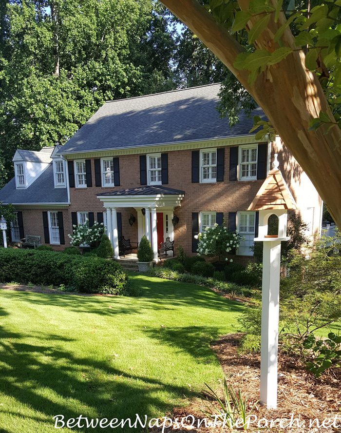 Lazy Hill Farm Bird Feeder, Beautiful Accent Piece in the Garden