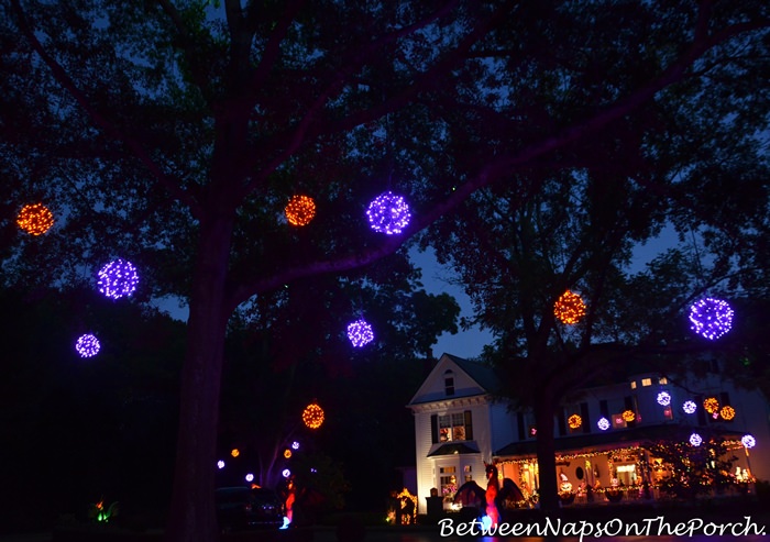 Lit Orbs in Trees for Halloween