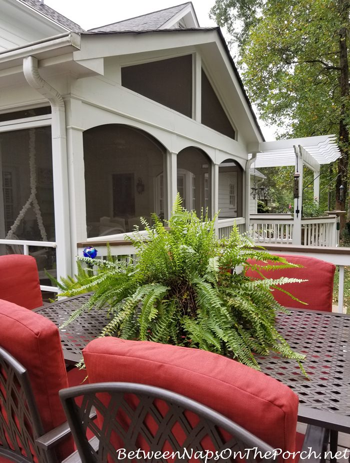 Screened Porch, Decks, Deck Furniture