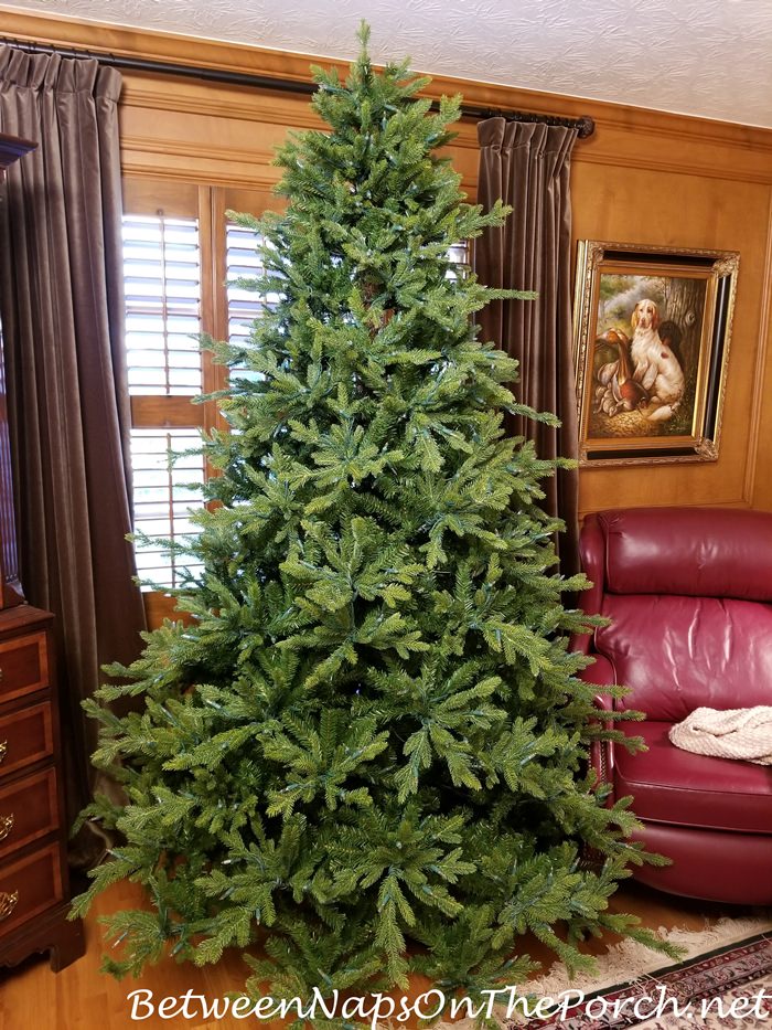 It Was Worth the Hunt Love This Christmas Tree Between Naps on