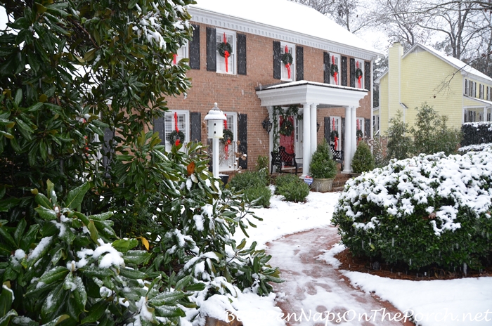 December Snow, Georgia, 12-8-17