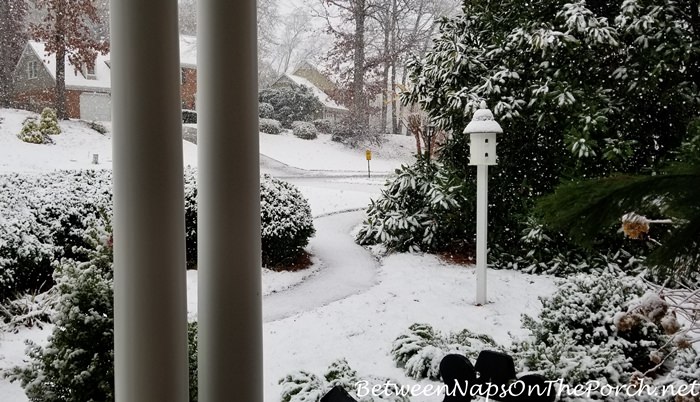 Georgia Snow, December 8, 2017