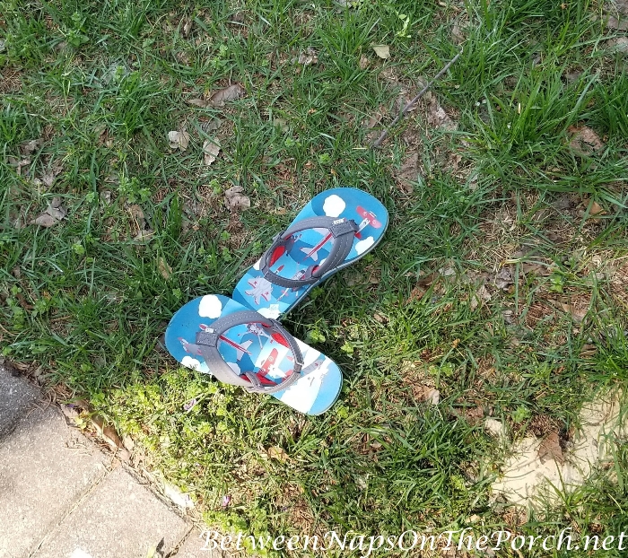 Summertime and Flip flops 2