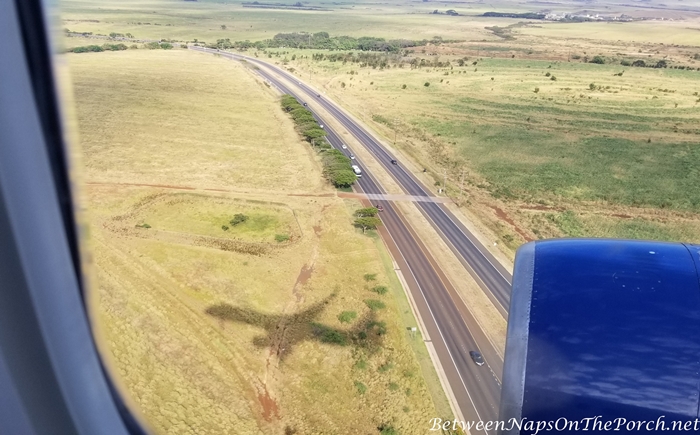 Shadow of Plane, Flying into Maui