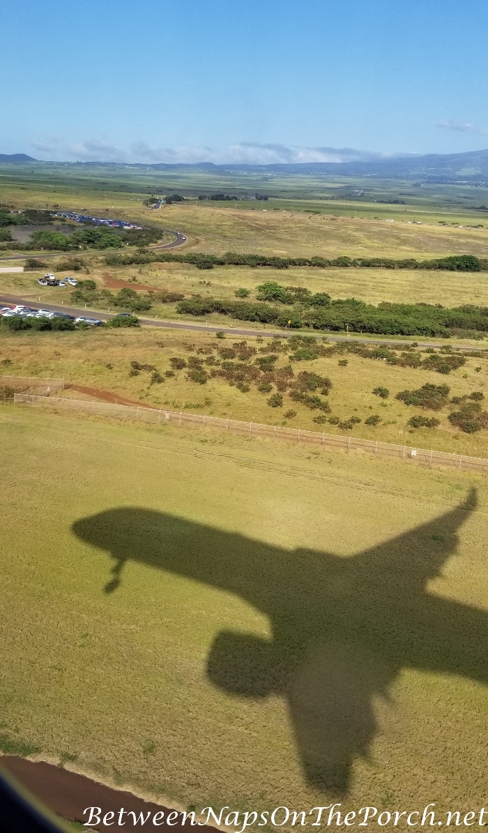 Shadow of Plane, Maui