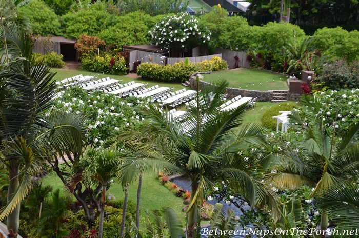 Tables Set Up for Luau