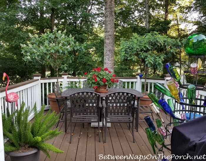 Deck, Red Geranium, Bottle Tree