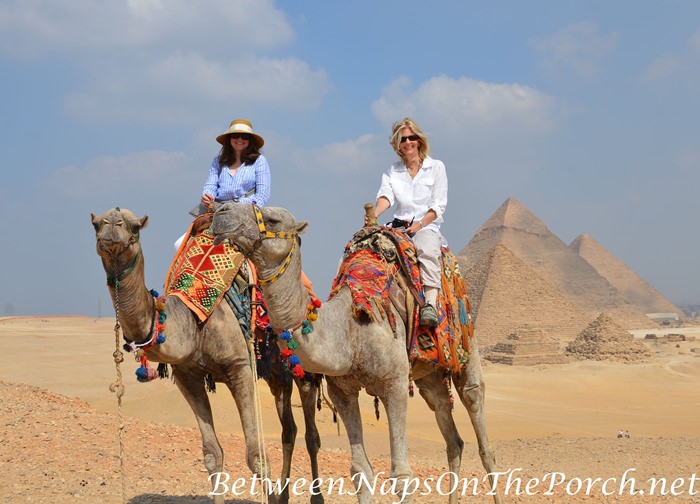 Camel Ride, Giza Plateau, Egypt
