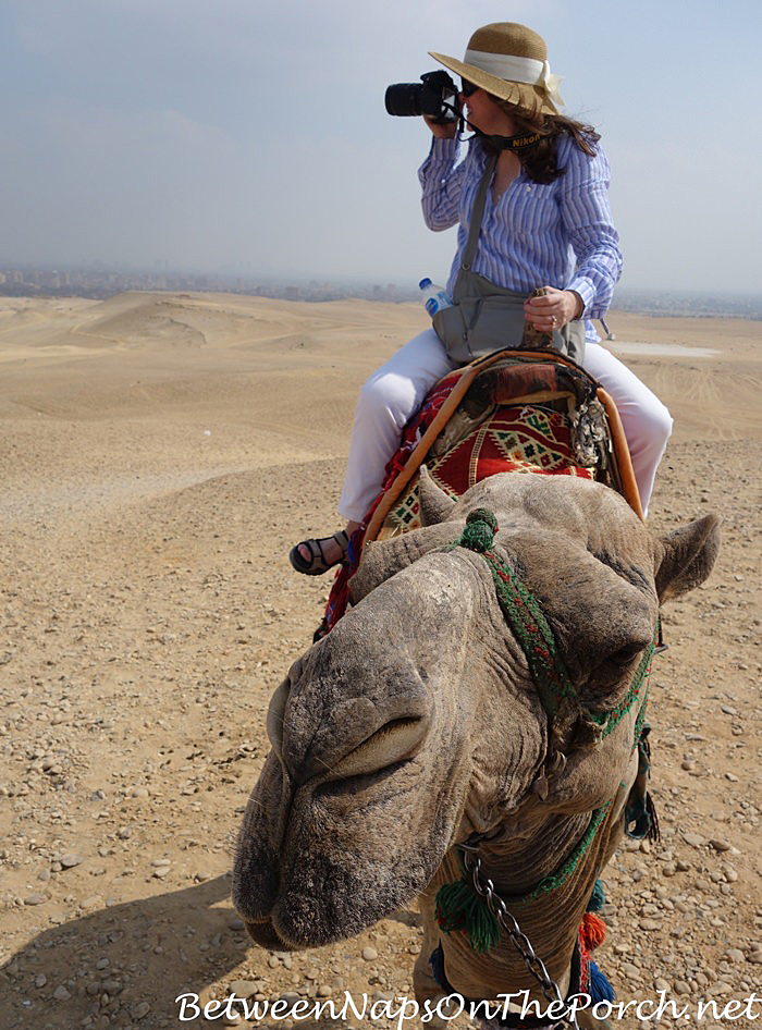 Camel Riding in Giza, Egypt, 2018