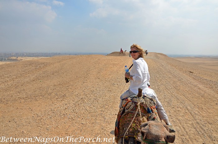 Egypt, Camel Ride in the Sahara Desert